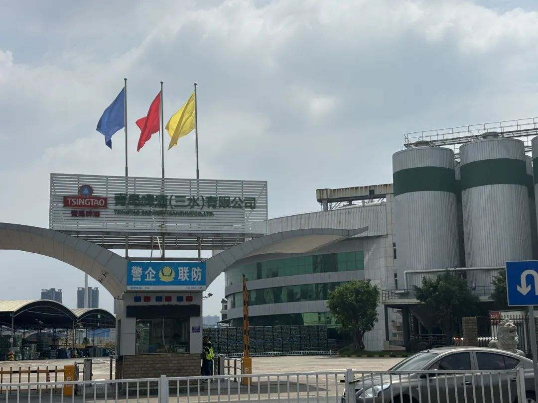青岛啤酒